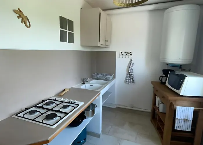 Bella Vista - Reves De Provence Holiday home Dauphin